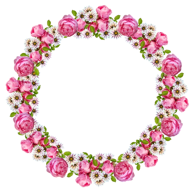 a wreath of pink roses and white daisies, a digital rendering, round elements, 💣 💥💣 💥, bright on black, beautiful frames