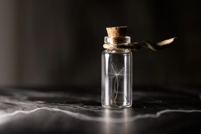 a small glass bottle with a dandelion in it, on a black background, close up shot of an amulet, clean and pristine design, carson ellis
