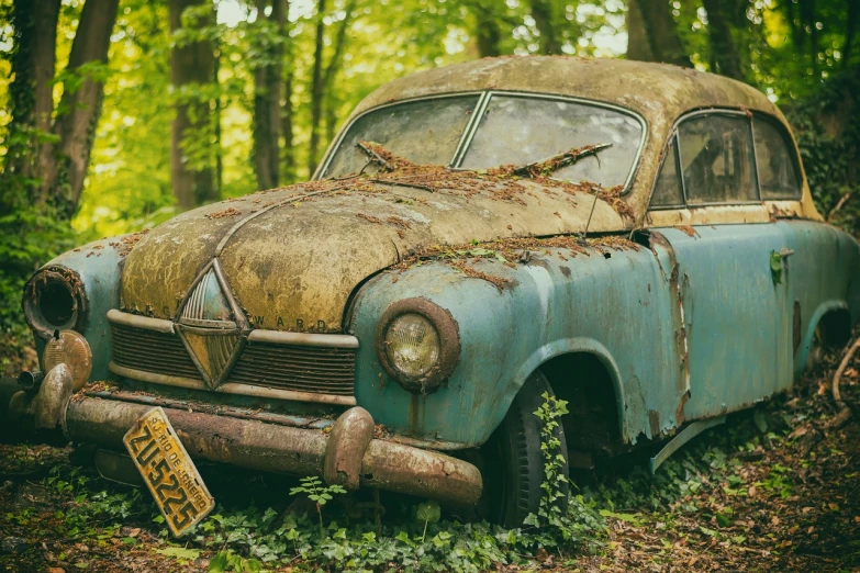 an old car sitting in the middle of a forest, by Adam Szentpétery, pexels contest winner, auto-destructive art, slightly smiling, junk on the ground, no words 4 k, an ultra realistic