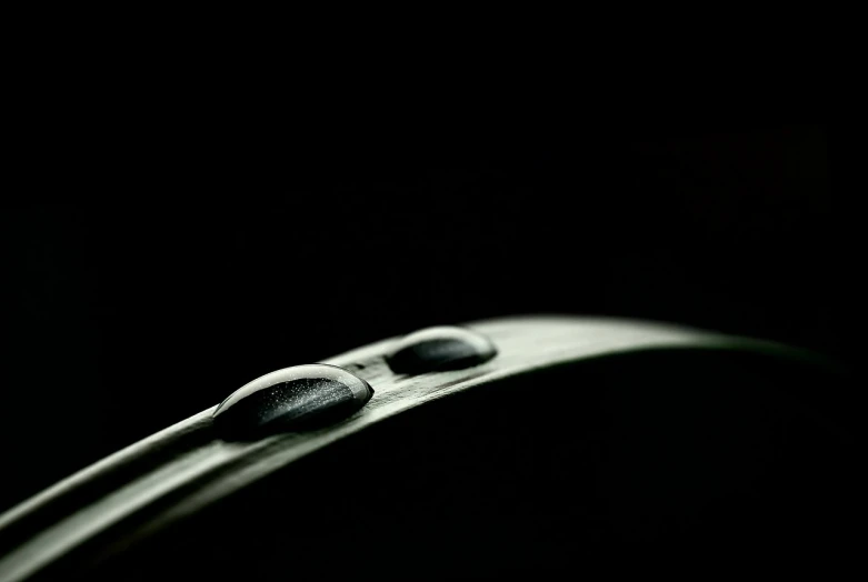 a close up of a leaf with water droplets on it, inspired by Lucio Fontana, minimalism, shungite bangle, simple detail. greenish lighting, giger style, highly detailed product photo