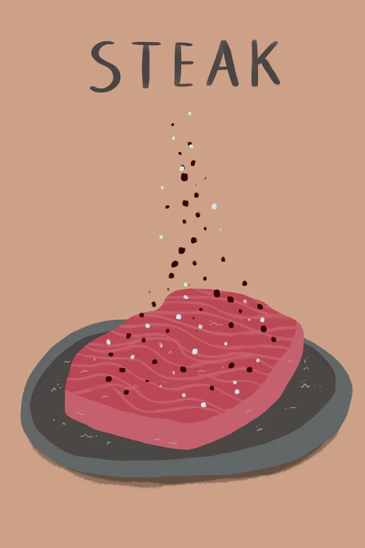 a piece of steak is being sprinkled with salt, an illustration of, conceptual art, floating particles, garnet, editorial illustration, flat