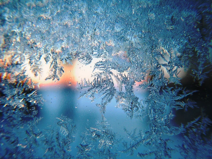 a close up of a frost covered window, flickr, happening, blue sunset, shiny skin”