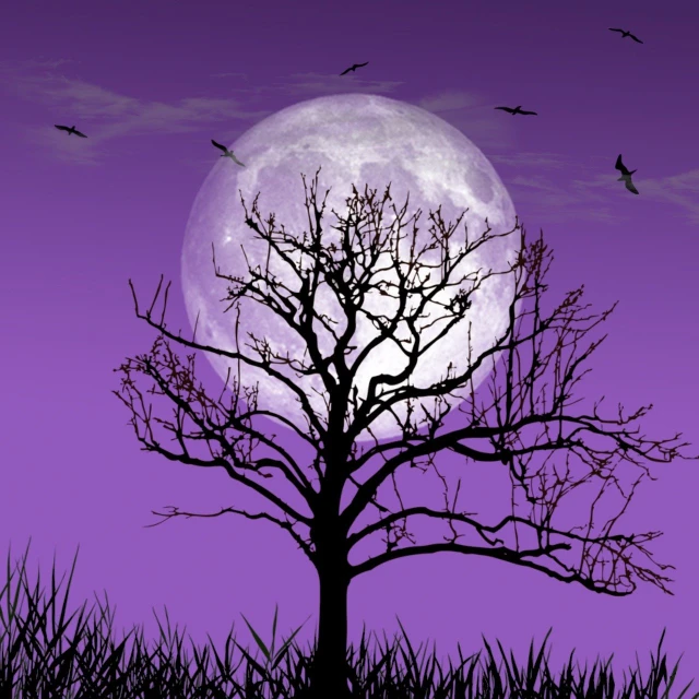 a tree in a field with a full moon in the background, by Susan Heidi, flickr, conceptual art, background is purple, bat, istockphoto, eery dead swamp setting