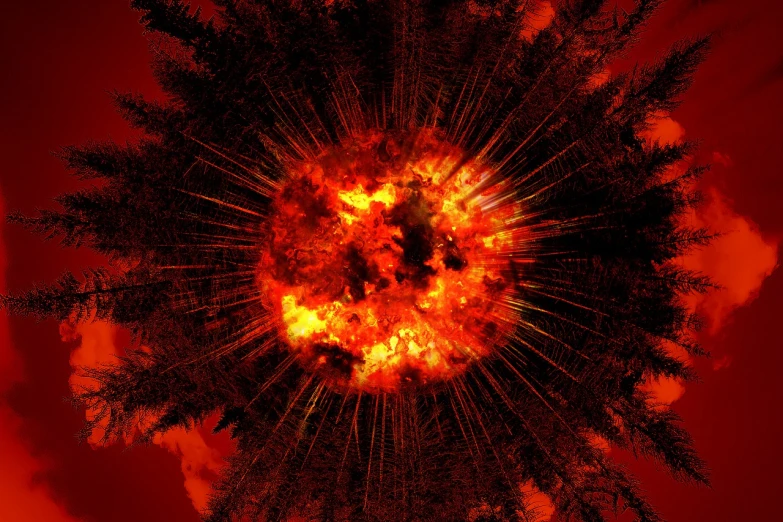 a close up of a tree with a red sky in the background, digital art, inspired by Otto Piene, shutterstock, nuclear art, apocalyptic spherical explosion, woods on fire, viewed from above, sun exploding on the background