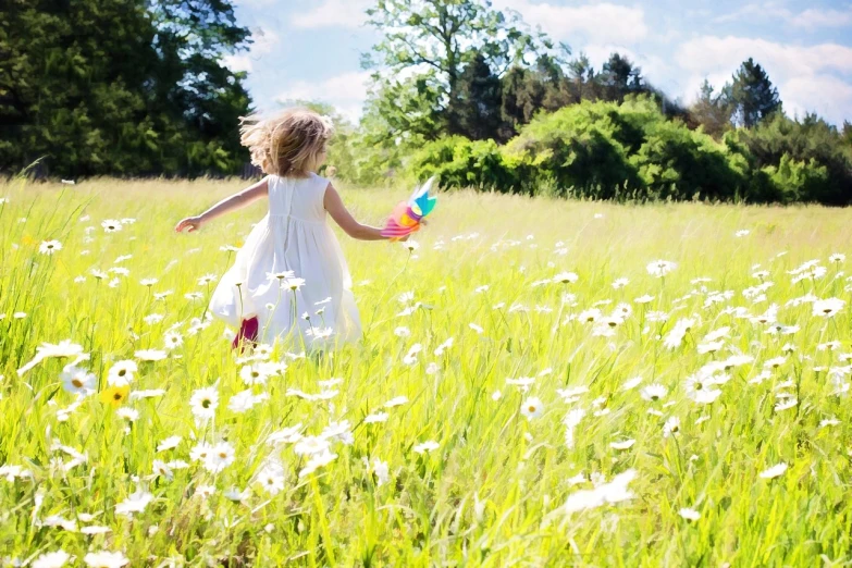 a little girl walking through a field of flowers, carrying a bottle of perfume, toy photography, daisy, twirly