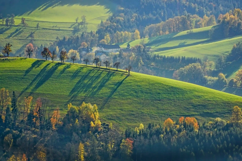 a group of trees sitting on top of a lush green hillside, by Ernő Tibor, shutterstock, trees cast shadows on the wall, autumn field, details and vivid colors, beautiful small town