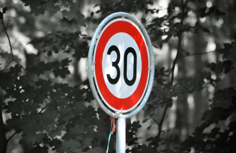 a close up of a speed limit sign with trees in the background, a photo, by Mirko Rački, mid - 3 0 s aged, [ realistic photo ]!!, in her early 3 0, outdoor
