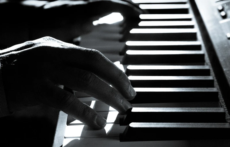 a close up of a person playing a piano, a picture, by Eugeniusz Zak, monochrome:-2, backlit, more details, stems