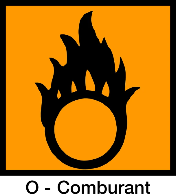 a picture of a ring with flames on it, inspired by Enguerrand Quarton, \'obey\', black mesa, pictogram, orange safety labels