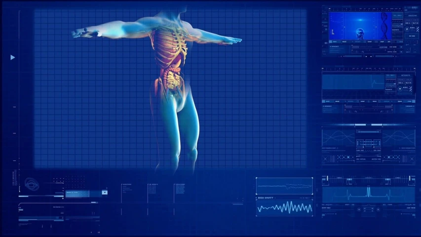 a man standing in front of a computer screen, a digital rendering, by Kurt Roesch, pexels, holography, body ribs meshes, medical background, 3 d render of a full female body, istock