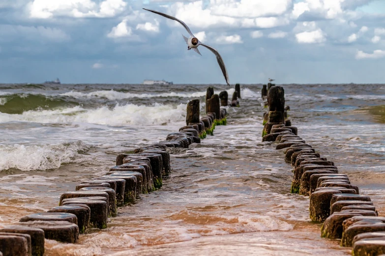 a bird flying over a body of water, inspired by Jan Kupecký, pixabay contest winner, fallen columns, rough sea, low dutch angle, wooden platforms