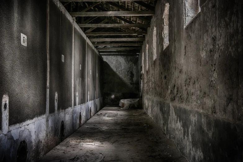 a dimly lit hallway in an abandoned building, by Mathias Kollros, flickr, inside a farm barn, grey warehouse background, tonemapped, shadowy