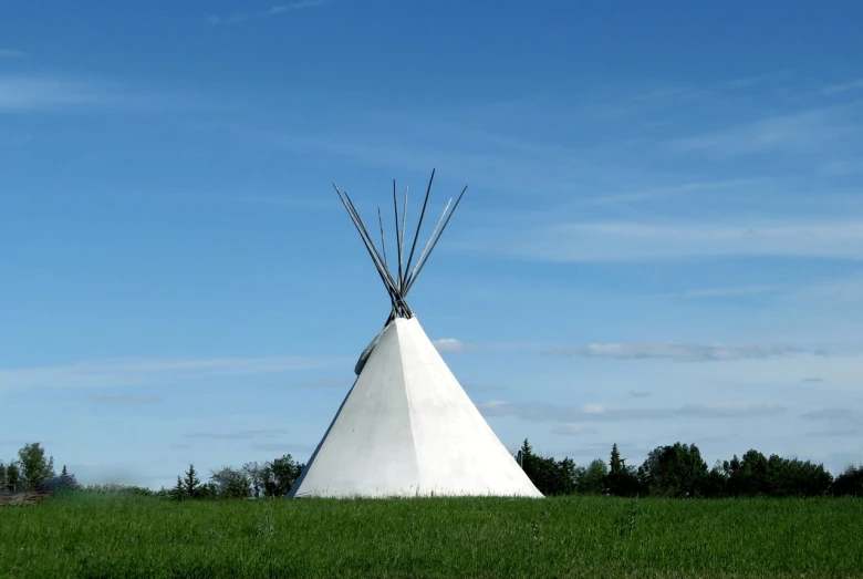 a teepee sitting on top of a lush green field, inspired by George Catlin, land art, whitehorns, seen from outside, white head, photo - shot