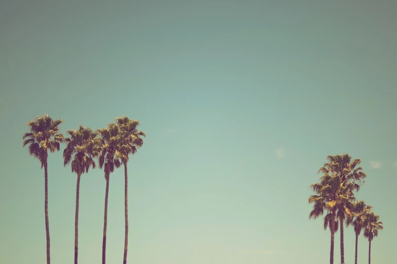 a row of palm trees against a blue sky, postminimalism, frank moth, it's californication, threes, beaches