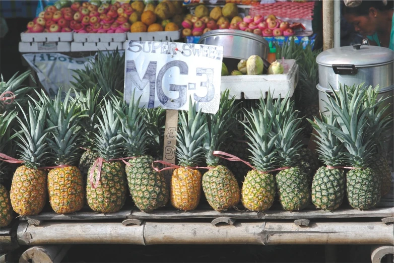 a bunch of pineapples sitting next to each other, by Judith Gutierrez, market setting, square, sunshine, mix