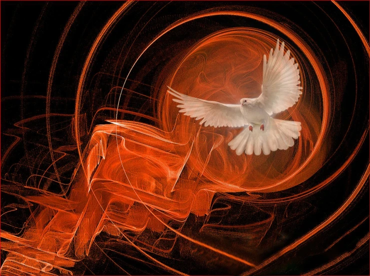 a bird that is flying in the air, digital art, inspired by Anna Füssli, trending on pixabay, digital art, holy flame spell, white dove, red mood in background, spiraling