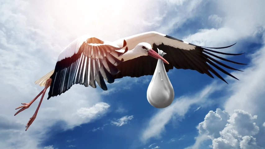 a stork flying in the sky with a baby in it's beak, by Paul Bird, shutterstock, surrealism, bag, diaper disposal robot, intense sunlight, high - contrast