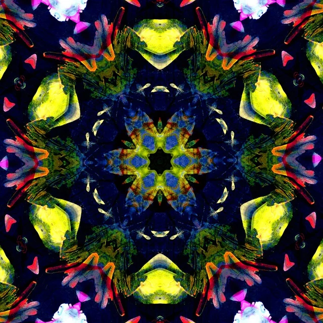 a close up of a flower on a black background, a digital rendering, inspired by Richard Wright, psychedelic art, textile print, seen through a kaleidoscope, rorsach path traced, repeating