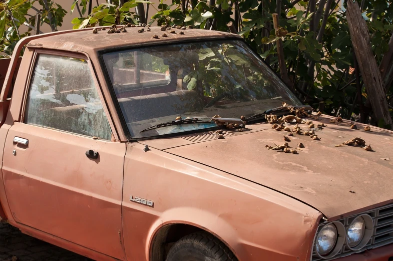 an old pick up truck parked on the side of the road, by Richard Carline, flickr, auto-destructive art, in shades of peach, overgrown with exotic fungus, subaru, morning detail