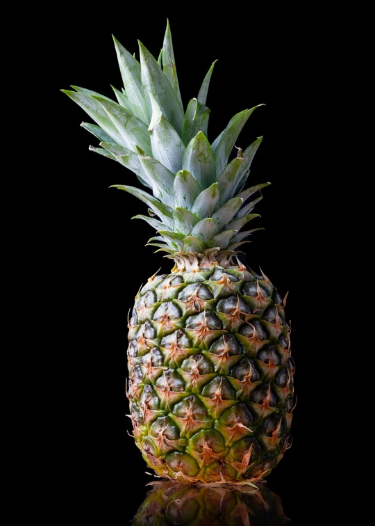 a close up of a pineapple on a black background, a portrait, by Richard Carline, commercial product photography, towering, complete body view, highly detailed and colored