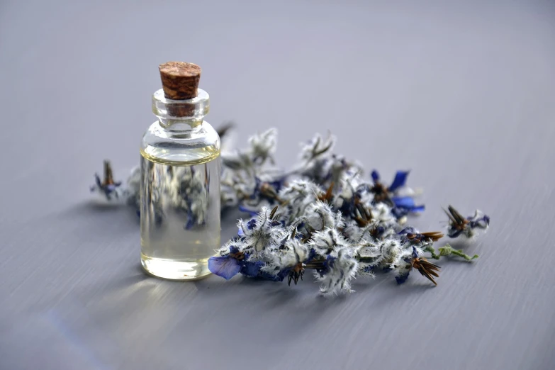 a bottle of essential oil next to a bunch of flowers, by Rhea Carmi, visual art, soft grey and blue natural light, lavender flowers, on a gray background, photograph credit: ap
