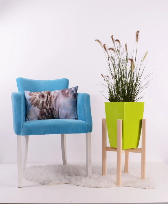 a blue chair sitting next to a green plant, inspired by Constantin Hansen, high resolution product photo, bright and fun colors, high quality product photo, close - up studio photo