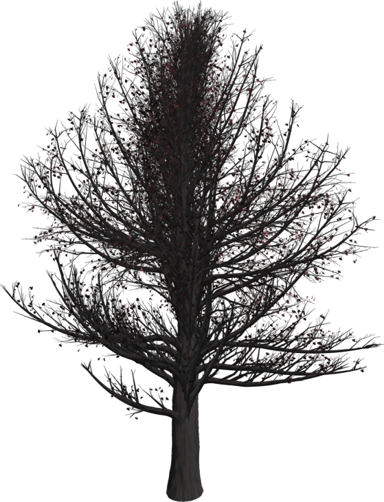 a tree with no leaves and no leaves on it, a raytraced image, by Attila Meszlenyi, polycount, conceptual art, red on black, 8k detail, cherry-blossom-tree, cloaked dark winter night