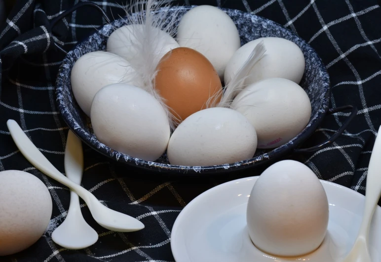 a bowl filled with eggs sitting on top of a table, trending on pixabay, renaissance, white feathers, stock photo, set photo, closeup photo