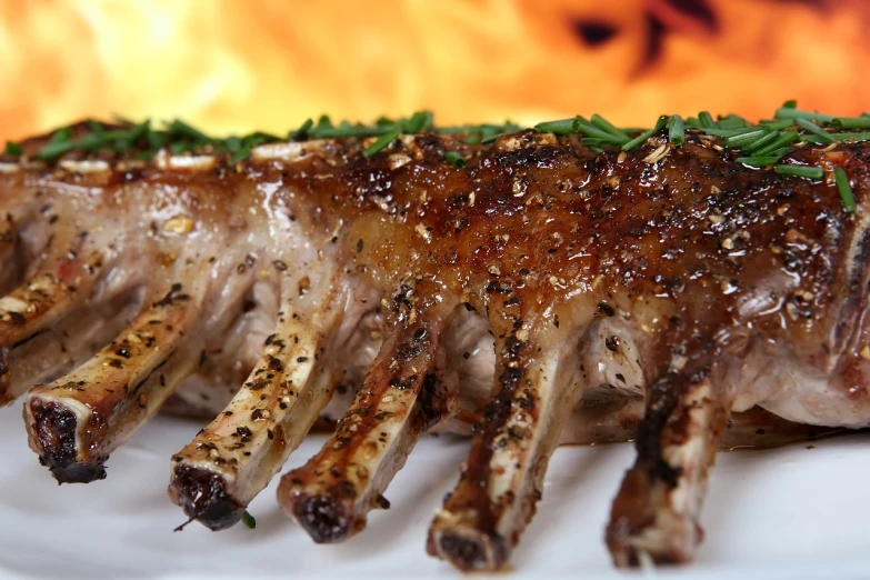 a close up of a piece of meat on a plate, by Rodney Joseph Burn, amazing background, rack, fully body photo