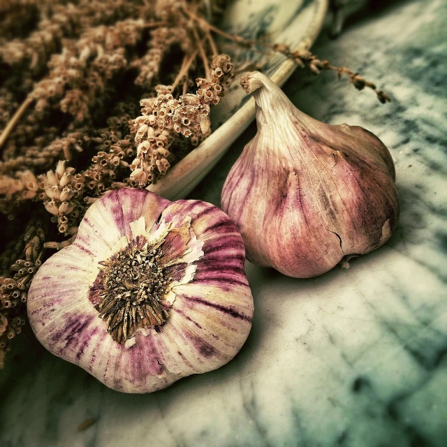 a bunch of garlic sitting on top of a table, a photo, inspired by Carpoforo Tencalla, renaissance, old color photo, herbs and flowers, marbled, phone photo