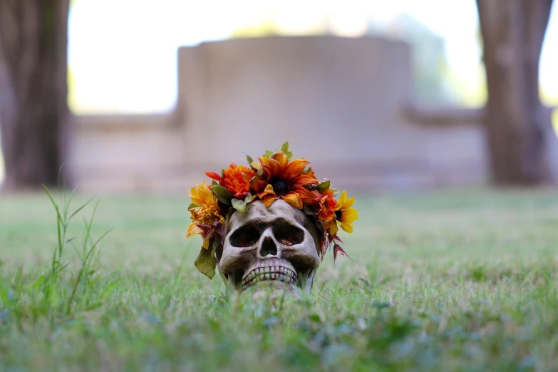 a skull with a flower crown sitting in the grass, shutterstock, background image, stock photo, graveyard background, mid shot photo