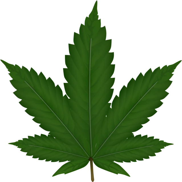 a marijuana leaf on a black background, a digital rendering, inspired by Mary Jane Begin, hurufiyya, with out shading, lowres, highlydetailed, image