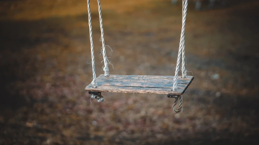 a wooden swing hanging from a rope in a field, pexels, purism, grungy, rectangular, stock photo, high-resolution