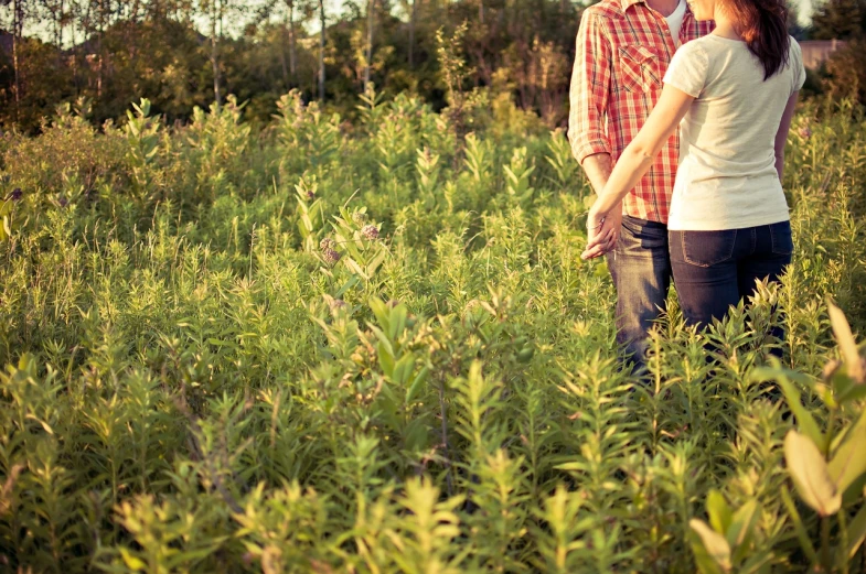 a man and a woman standing in a field, a picture, by Matt Cavotta, istockphoto, with soft bushes, romantic lead, summer afternoon