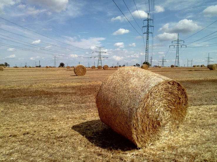 a hay bale in a field with power lines in the background, shutterstock, realistic wide angle photo, spain rodriguez, stock photo