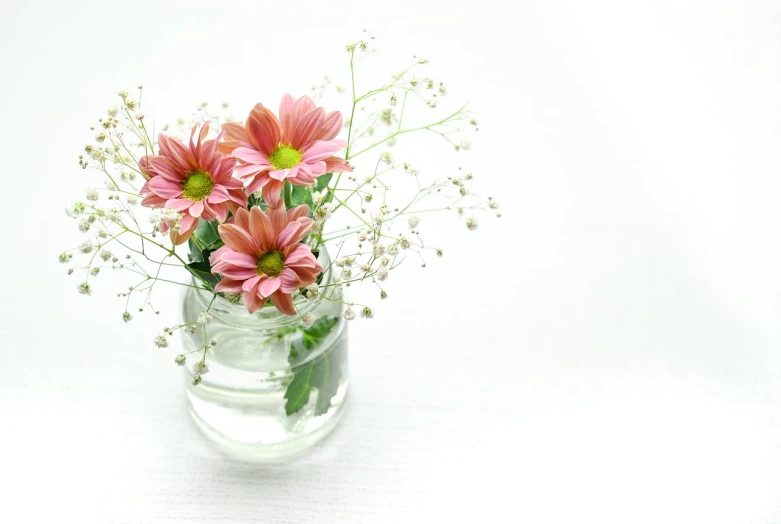 a vase filled with pink flowers and baby's breath, minimalism, product introduction photo, glass jar, high details photo