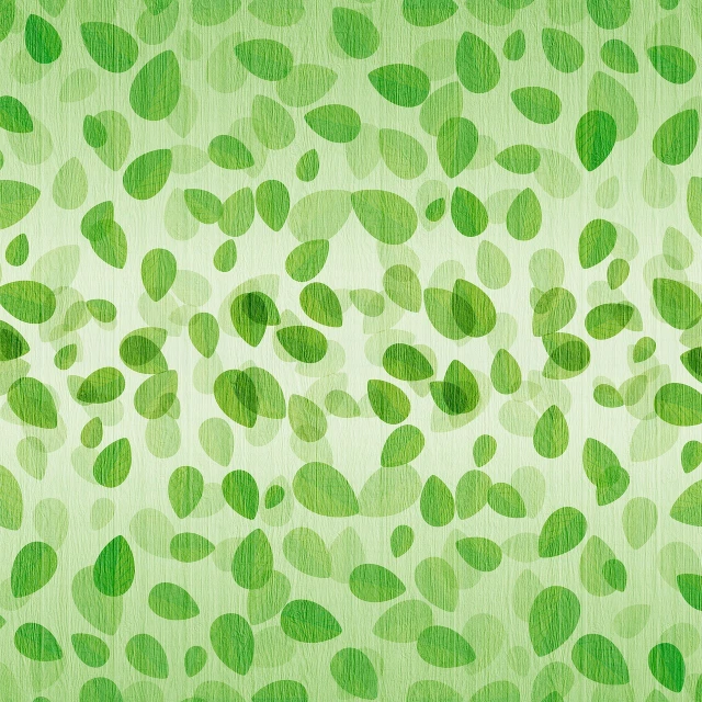 a pattern of green leaves on a light green background, inspired by Kōno Bairei, conceptual art, raindrop, wall paper, translucent, woody foliage