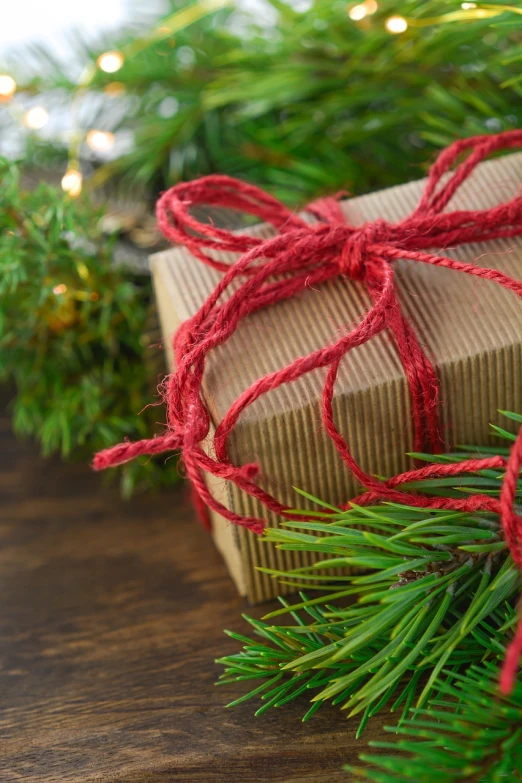 a wrapped gift sitting on top of a wooden table, by Maksimilijan Vanka, shutterstock, folk art, evergreen branches, closeup photo, avatar image, close up photo