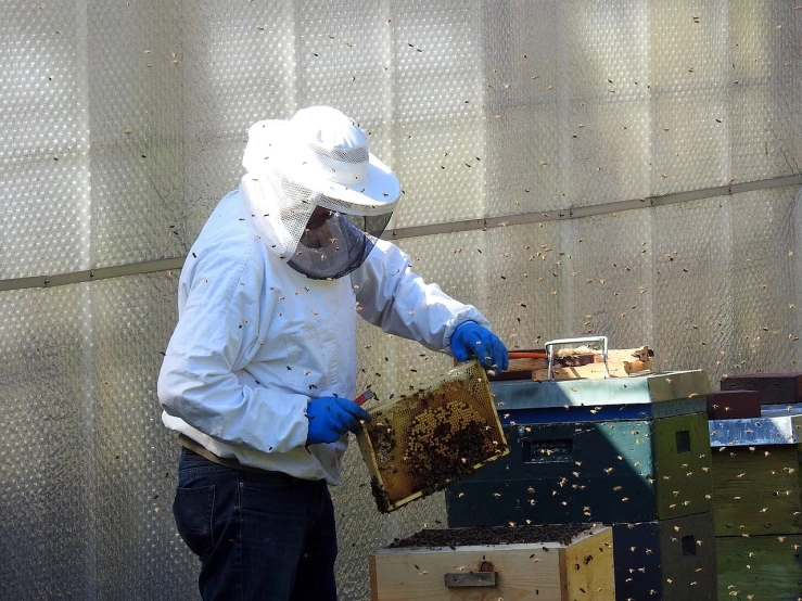 a man that is standing in front of a beehive, a photo, happening, high res photo, working, full shot photo