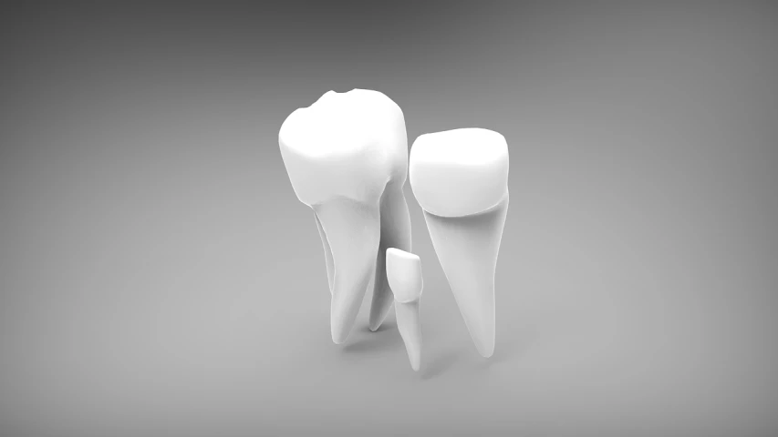 a couple of toothbrushes sitting next to each other, an ambient occlusion render, by Artur Tarnowski, dau-al-set, the bone crown, on a gray background, medical illustration, family photo