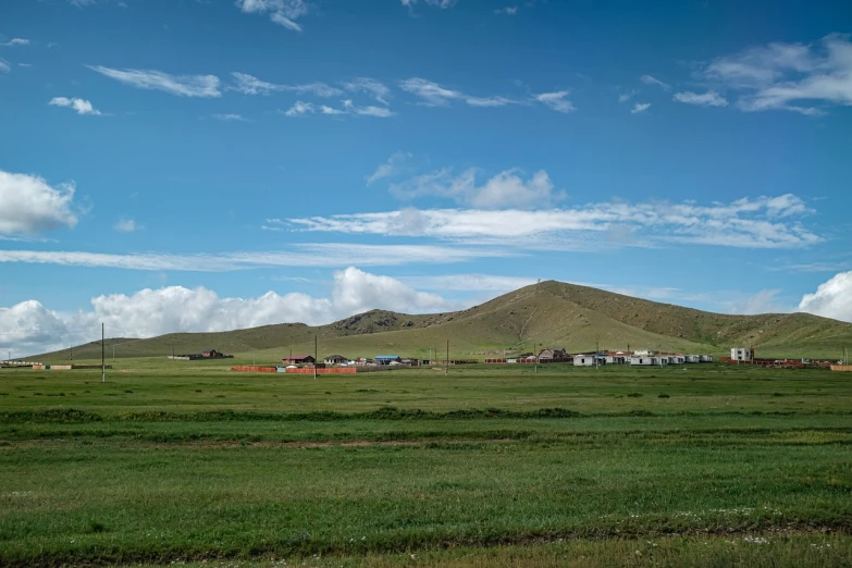 a herd of cattle grazing on top of a lush green field, by Muggur, hurufiyya, ground level view of soviet town, chinese mongolian script, small cottage in the foreground, landscape photo
