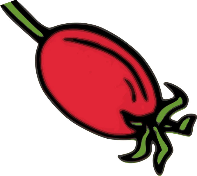 a red flower with a green stem on a black background, inspired by Masamitsu Ōta, rasquache, one tomato slice, pomegranade, vectorized, loosely cropped