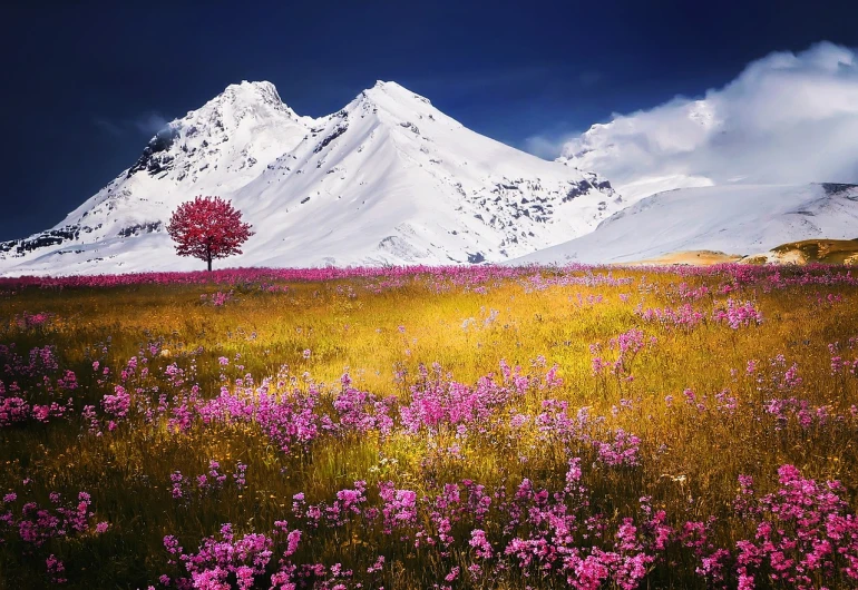 a field of flowers with a mountain in the background, a picture, by Alexey Merinov, color field, majestic snowy mountains, pink and yellow, the tree is growing on a meadow, [[fantasy]]