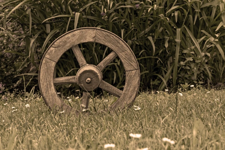 a wooden wheel sitting on top of a lush green field, a picture, inspired by William Nicholson, renaissance, daisy, sepia toned, toy photo, high detail product photo