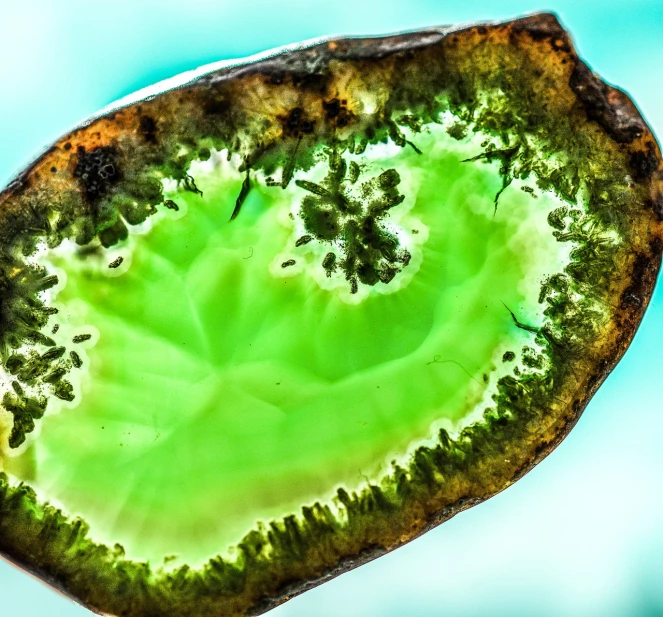 a close up of a piece of broccoli, a microscopic photo, art nouveau, agate, epic scale fisheye view, close-up product photo