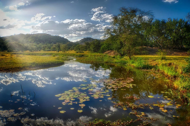 a body of water surrounded by grass and trees, by Juergen von Huendeberg, bushveld background, dramatic light hdr, pond with frogs and lilypads, lovely valley
