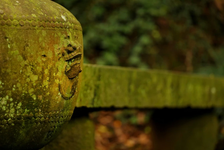 a green vase sitting on top of a wooden fence, a statue, by Richard Carline, unsplash, concrete art, moss ball, intricate stone carvings, detail texture, helmet of a forgotten deity