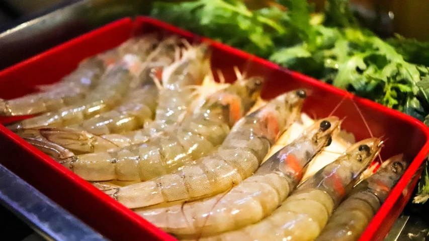 a red container filled with shrimp sitting on top of a counter, a stock photo, hurufiyya, perfect light, glossy from rain, shikamimi, attractive and good looking