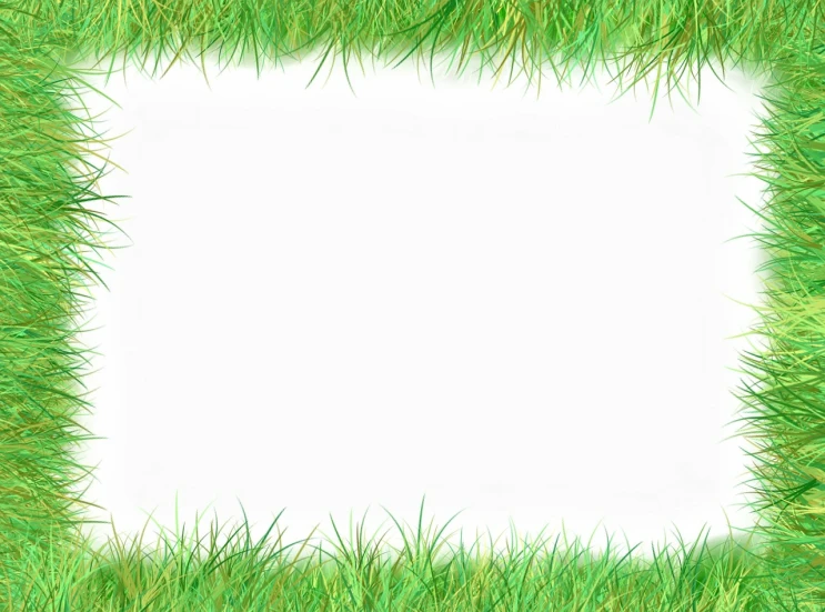a green grass frame on a white background, a digital rendering, by Tadashi Nakayama, cotton, white paper, beginner, bright uniform background