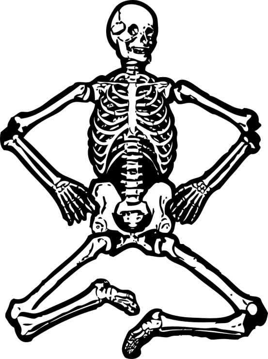 a black and white image of a skeleton, vector art, inspired by Stephen Bone, pixabay, sitting cross-legged, iphone wallpaper, wikipedia, the